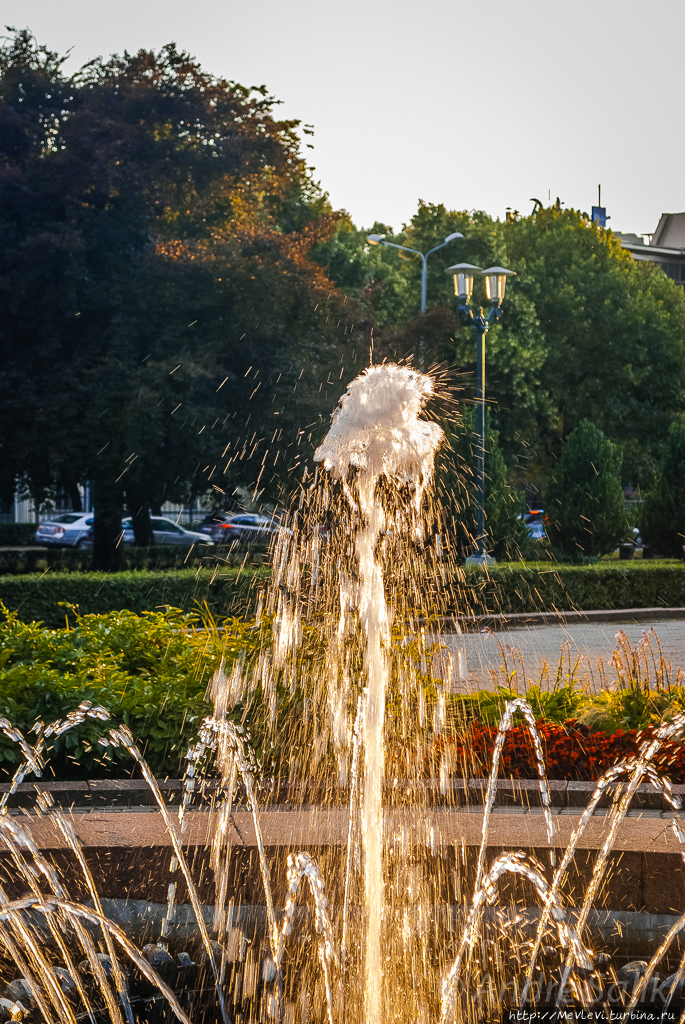 В закатном солнце Рига, Латвия