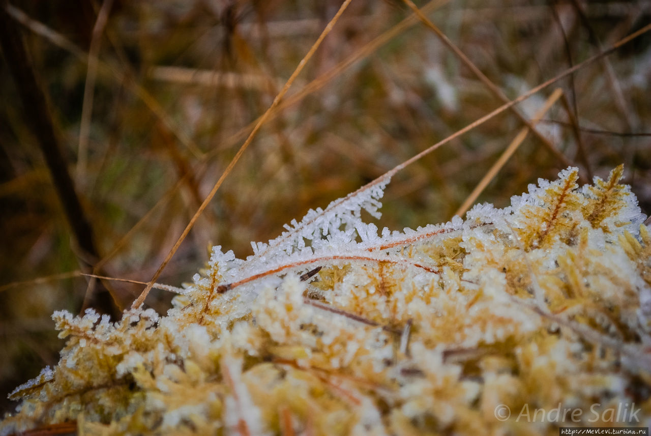 Изморозь Рига, Латвия