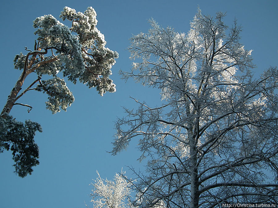 Суббота под знаком ОМ