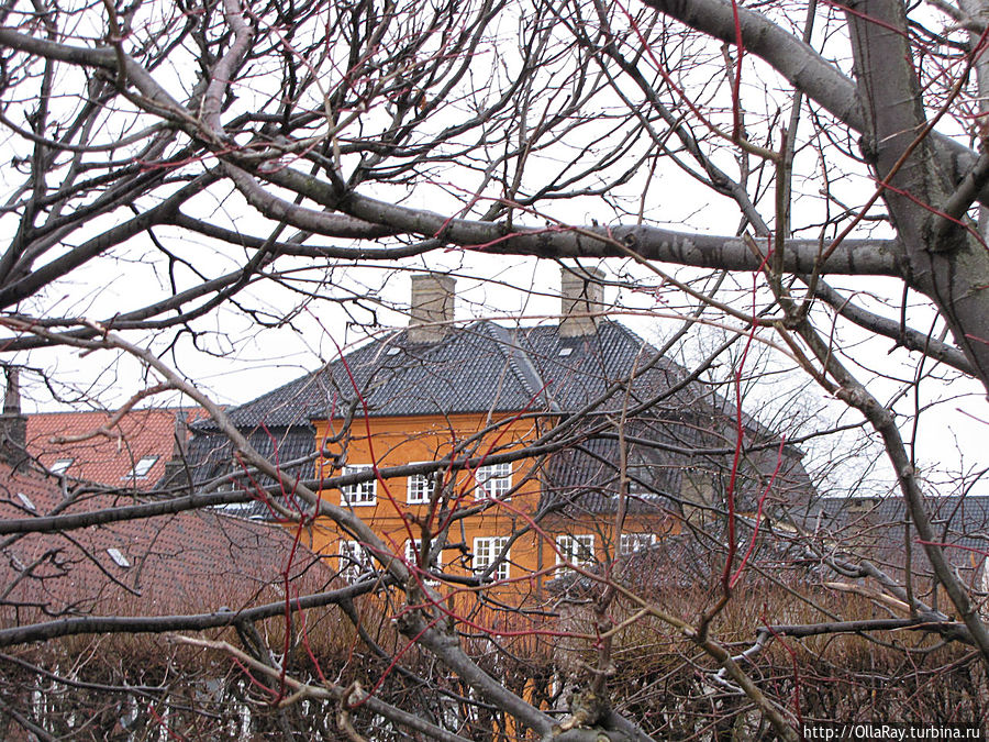Вид из сада на окрестные дома. Копенгаген, Дания