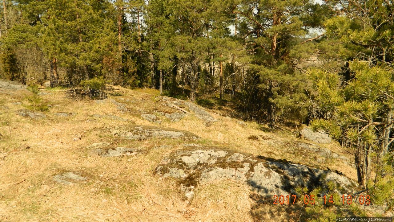 Руины Сиббесборга Сипоо, Финляндия