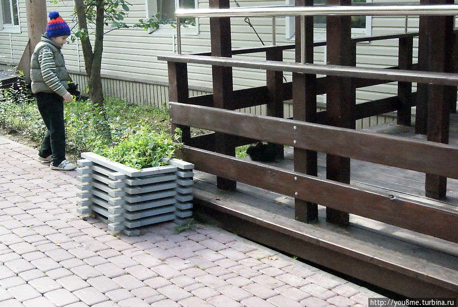 Поймайте мне кролика Нижегородская область, Россия