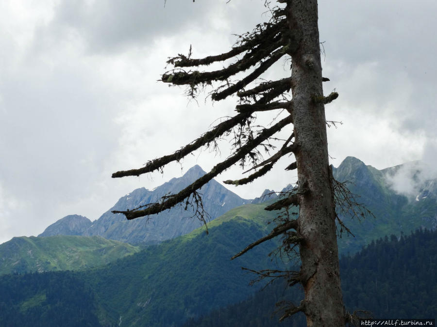 Рача Лечхуми Амбролаури, Грузия