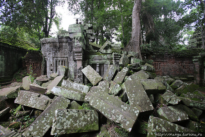 Так выглядят развалины храма Та Пром. Фото из интернета