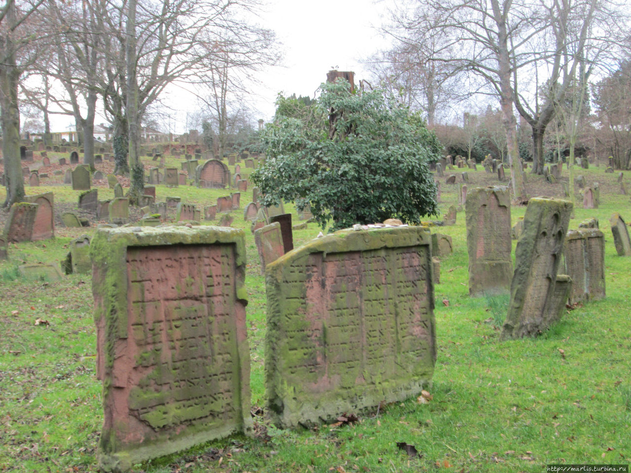 Памятные места Еврейского Вормса / Synagoge und Judischer Friedhof Worms