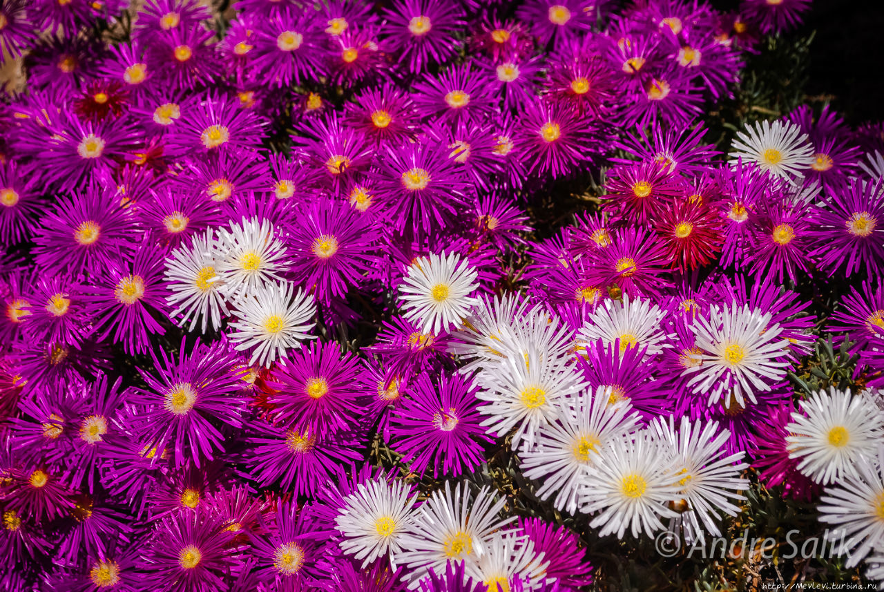 В мае на юге Барселона, Испания