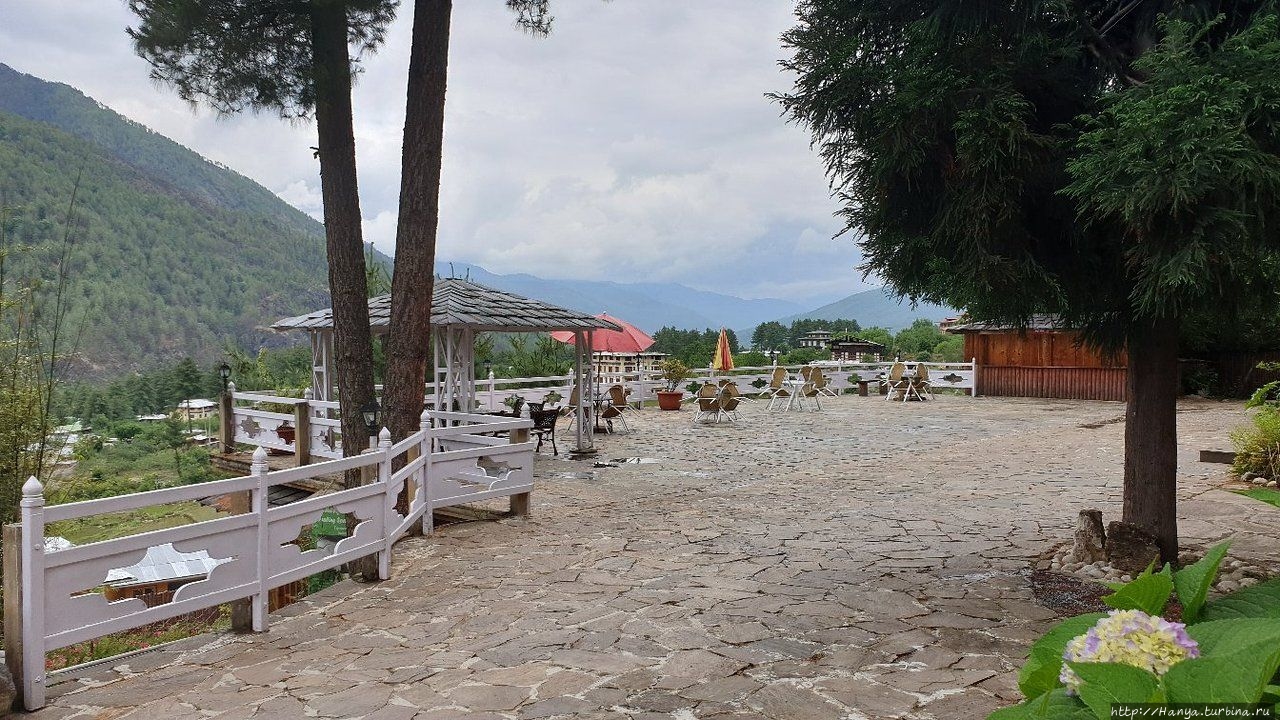 Из интернета