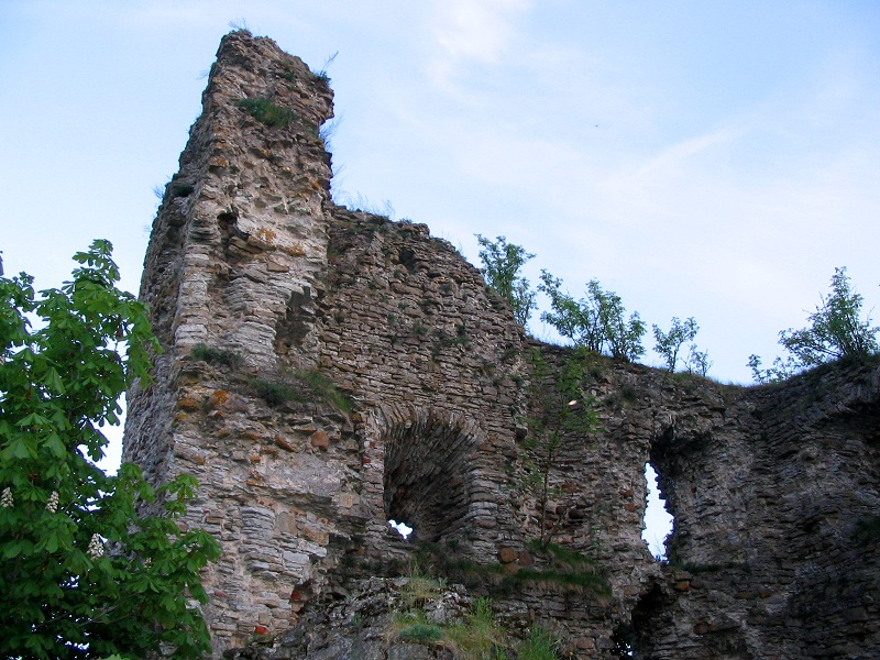 Орденский замок Васкнарва, Эстония