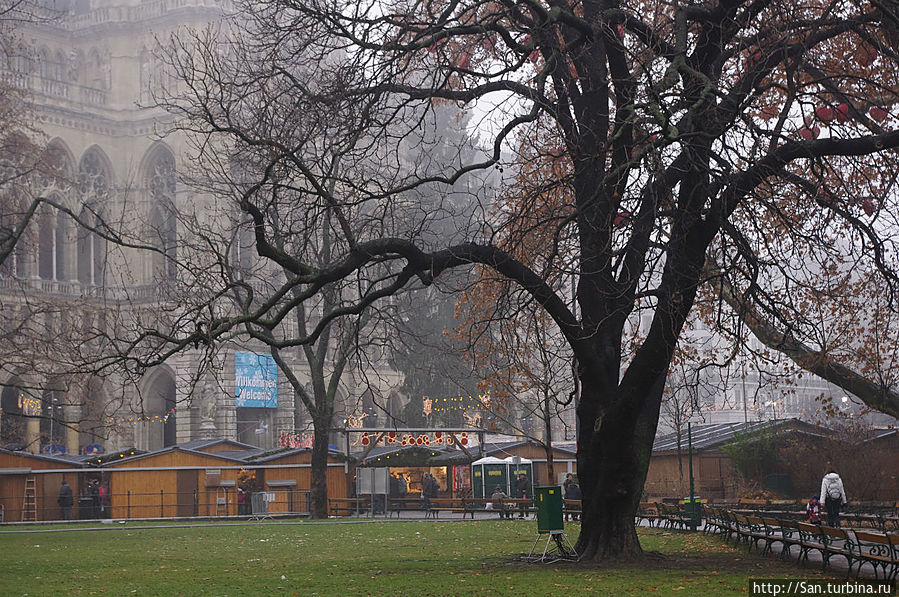 Вот такое Рождество без снега