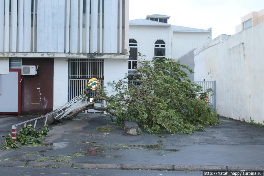 Последствия стихии Сен-Дени, Реюньон