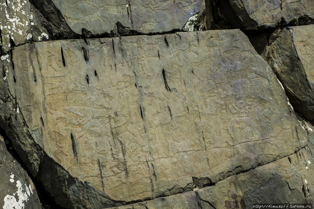 Урочище калбак-таш. Петроглифы калбак-таш алтай. Петроглифы калбак таша. Петроглифы калбак. Петроглифы калбак.