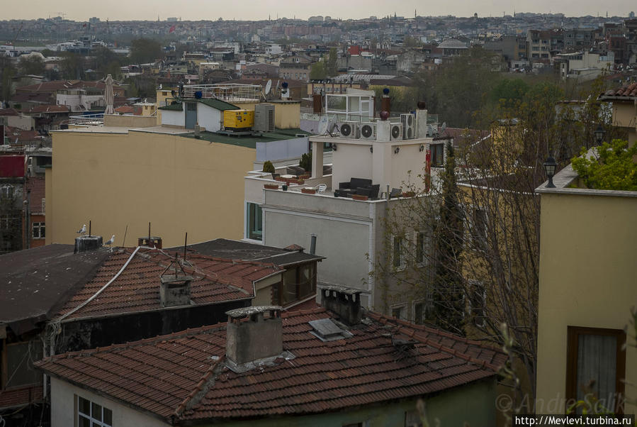 Целый день в Самбуле Стамбул, Турция