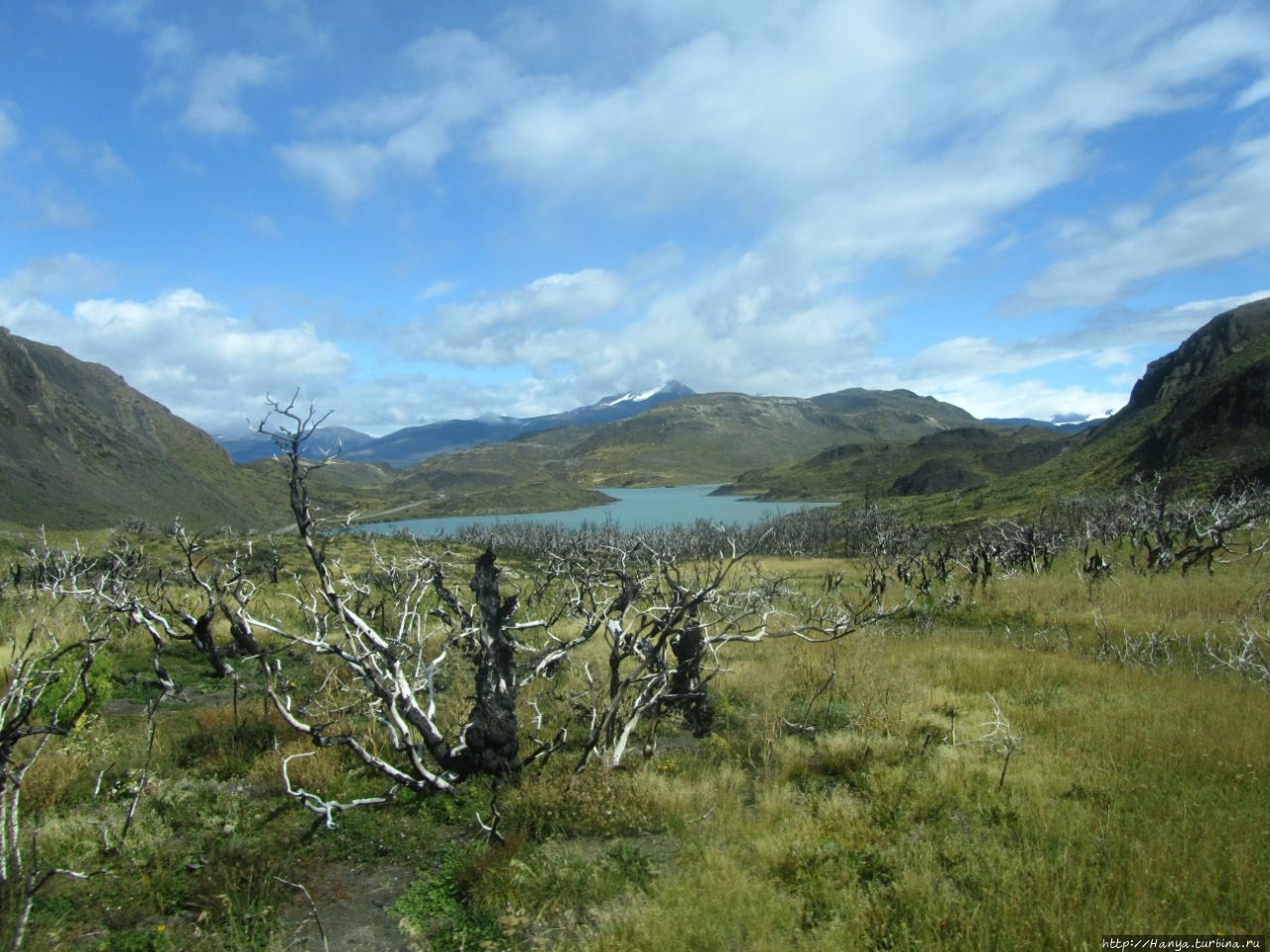 Озеро Пехоэ Национальный парк Торрес-дель-Пайне, Чили