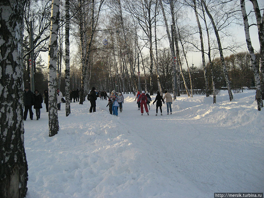 Филевский парк зимой