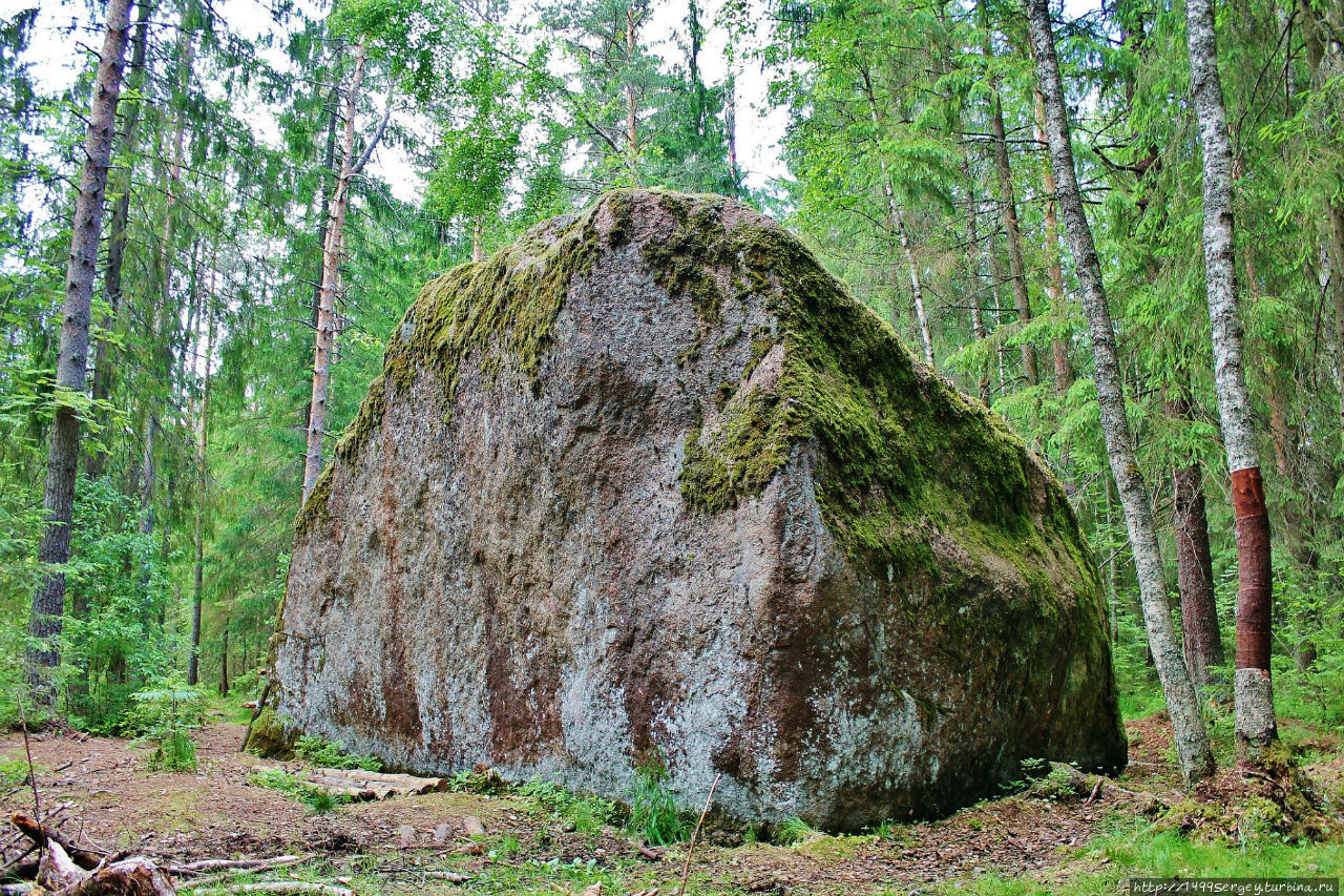 Велесов камень, где обитают старые боги Волосово, Россия