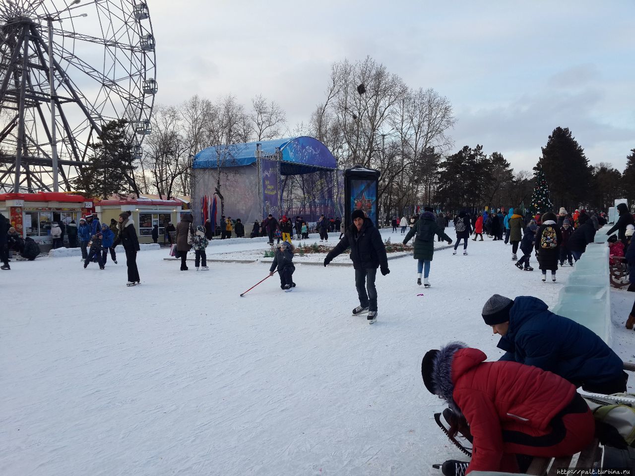 Хабаровчане уверяют, что 