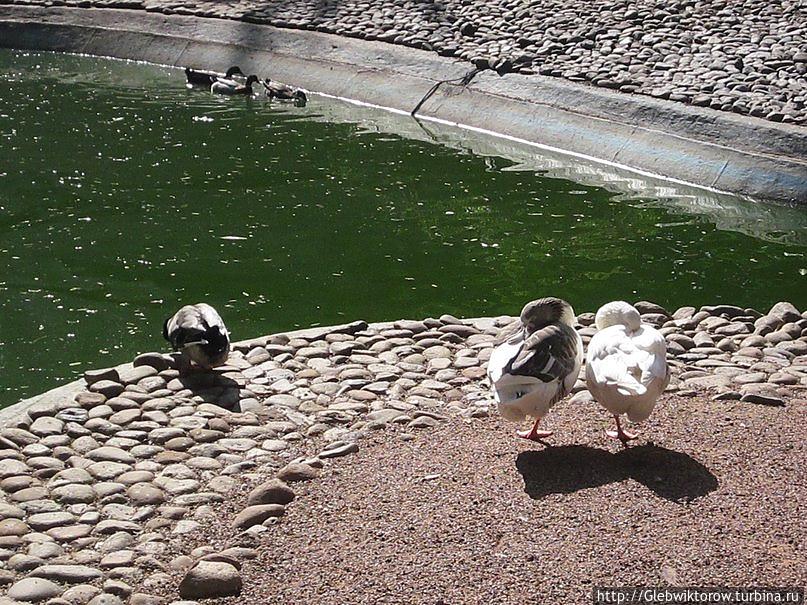 Прогулка по Рабату Рабат, Марокко