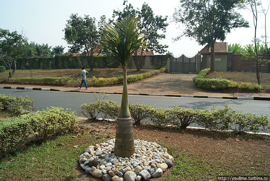 Посольство Бурунди по пятницам (А в глазах Африка — 70) Кигали, Руанда