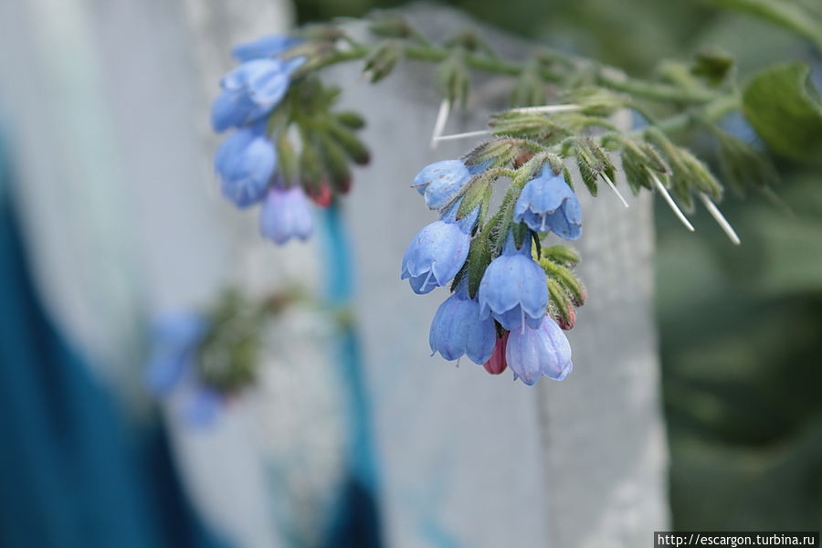 Ну и прогулка у меня как всегда типична: тянет фотографировать все подряд..