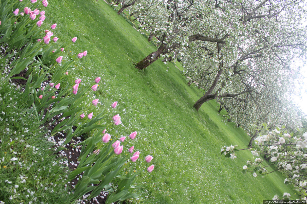 Пока не кончилась весна Москва, Россия