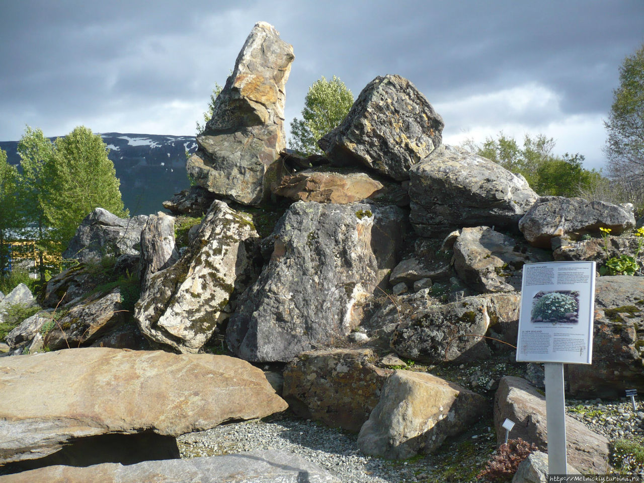 Арктическо-альпийский ботанический сад Тромсё, Норвегия