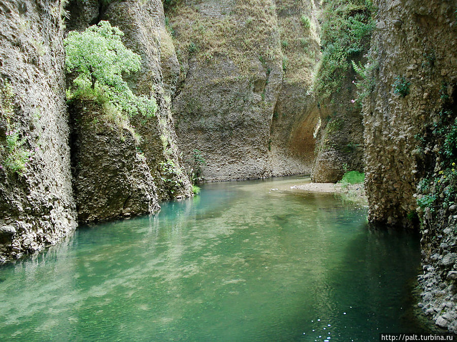 На дне ущелья