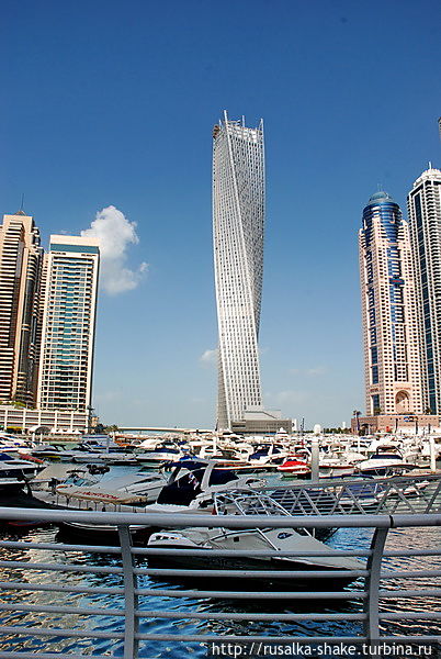 Инфинити в профиль и анфас Дубай, ОАЭ