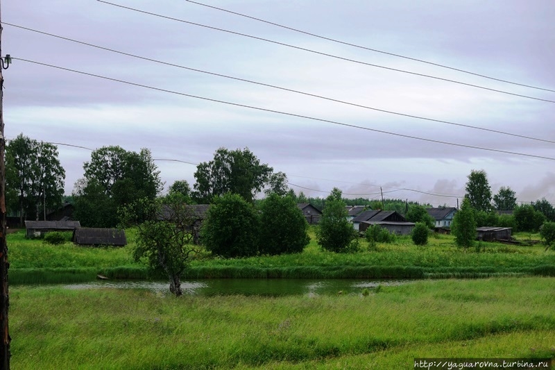 Церковь Иоанна Златоуста Саунино Саунино (Кипрово), Россия