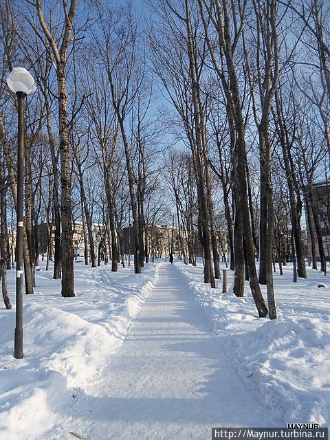 Человек, влюбленный  в  Сахалин.  Узоры. Россия