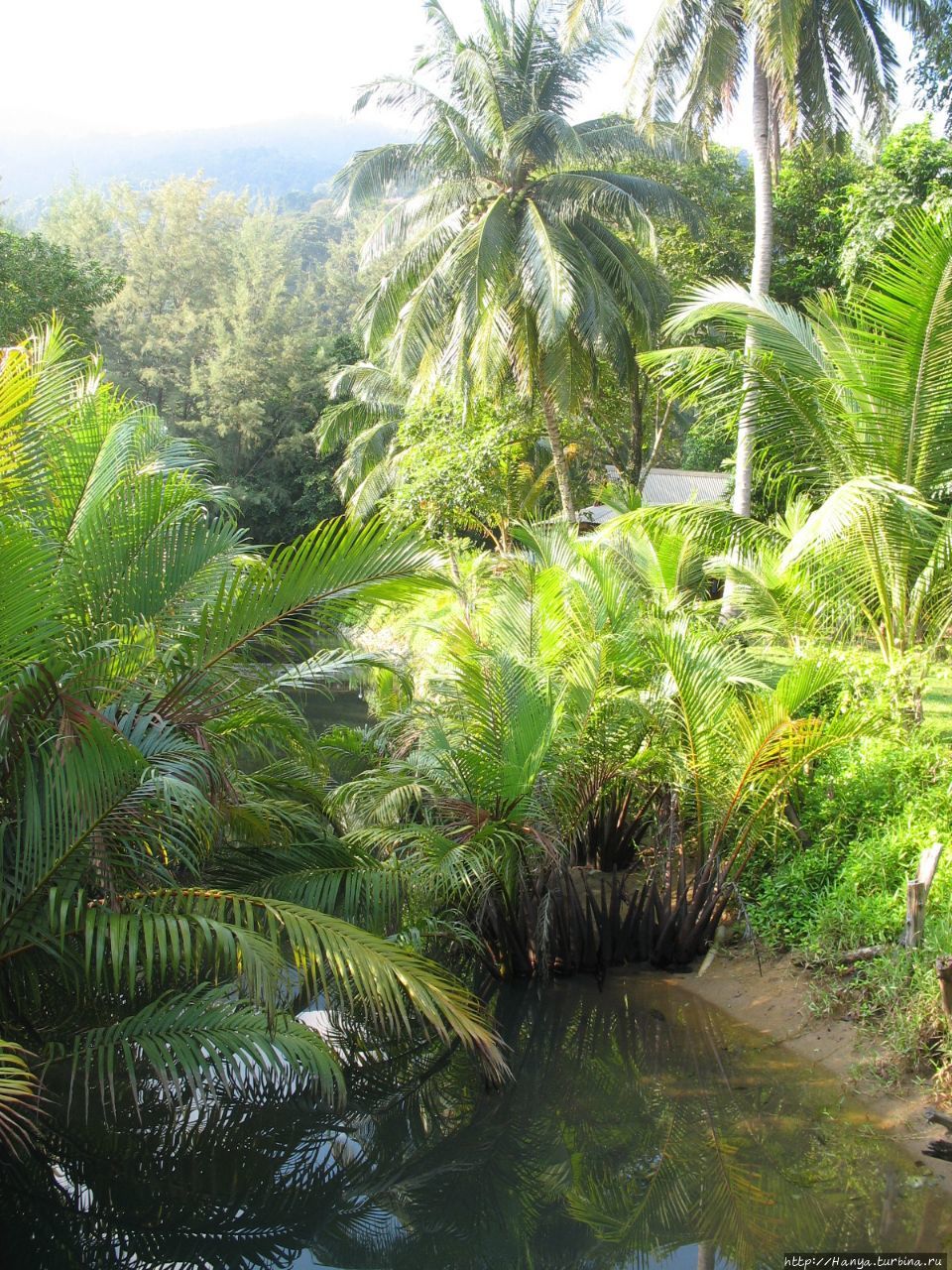 Пляж отеля Berjaya Tioman Beach Пулау-Тиоман, Малайзия