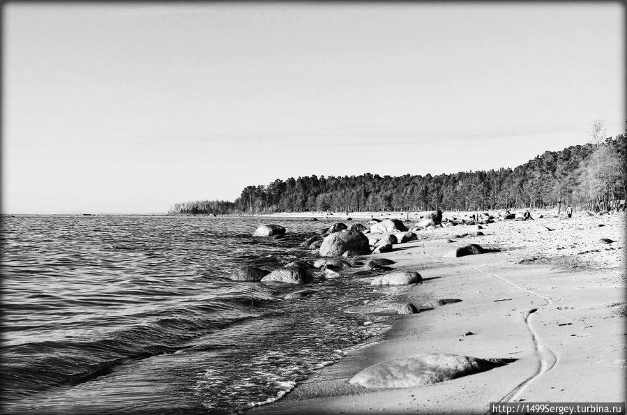 Вода и камни. Мир другими глазами Сосновый Бор, Россия