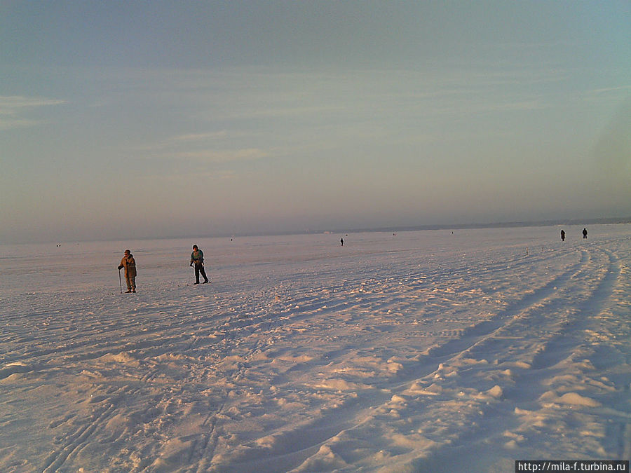 Неплохо по заливу прокатиться на лыжах. Санкт-Петербург, Россия