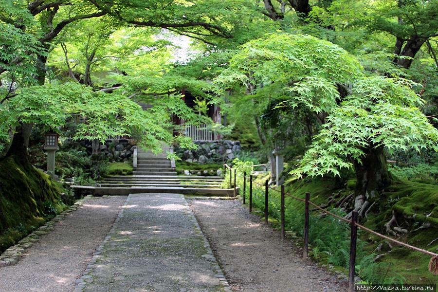 Парковый комплекс Арасияма Киото, Япония