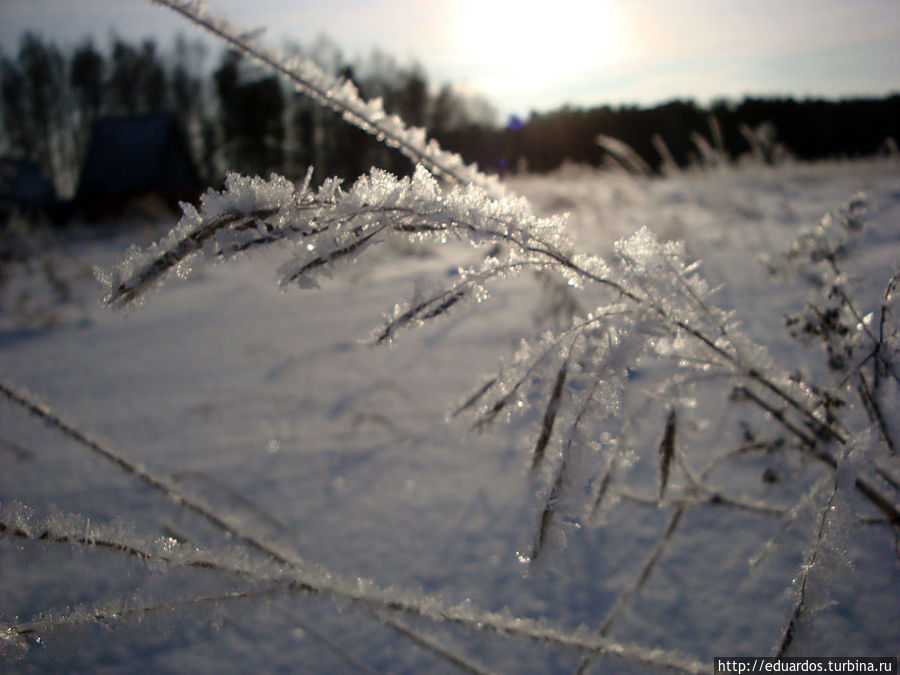 И в Сибири зимой красиво, вот только холодно))) Красноярск, Россия