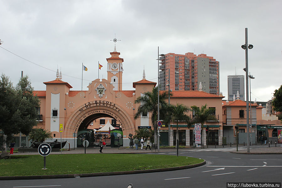 На «африканском» рынке (Mercado Nuestra Senora de Africa) продаются свежие овощи и фрукты, в том числе местные. Ну и прочие продукты. Приходите в первой половине дня.