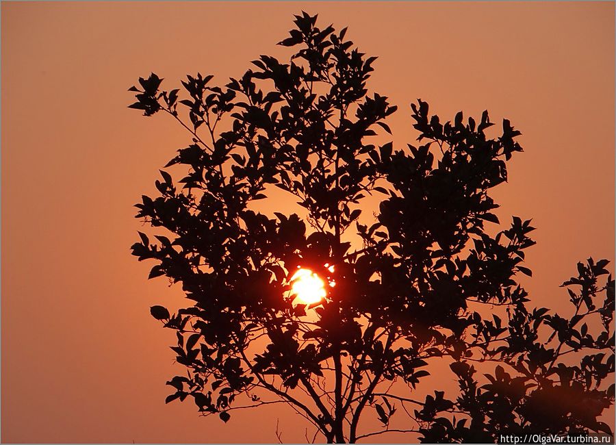 Окрасив полнеба в пурпурный цвет, какое-то время солнечный диск неподвижно висел над деревьями, словно говорил — любуйтесь мною... Чангу-Нароян, Непал