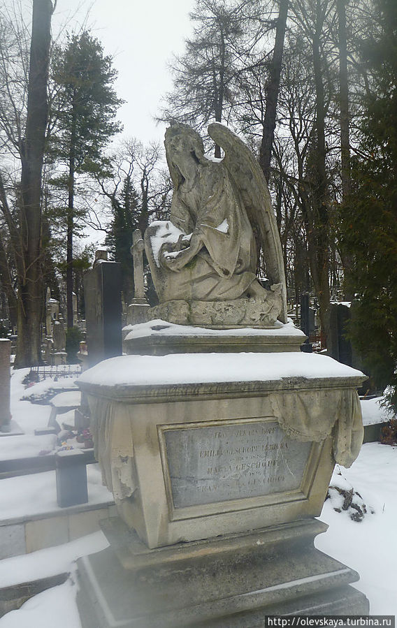 Тут нужен гид ( Лычаковское кладбище и не только.) Львов, Украина