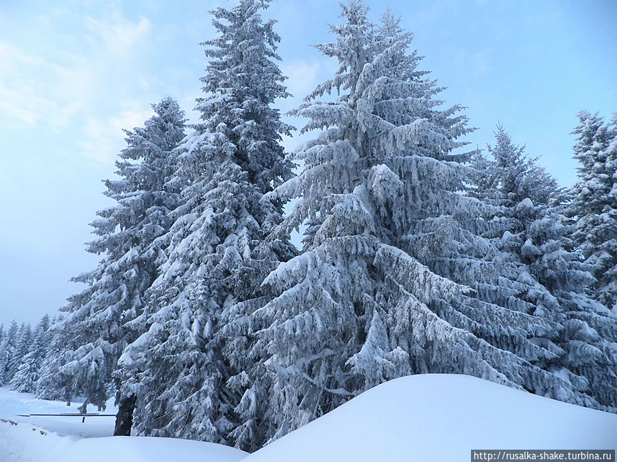 Подводя итоги... Мой 2012