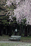 Парк около замка Осаки