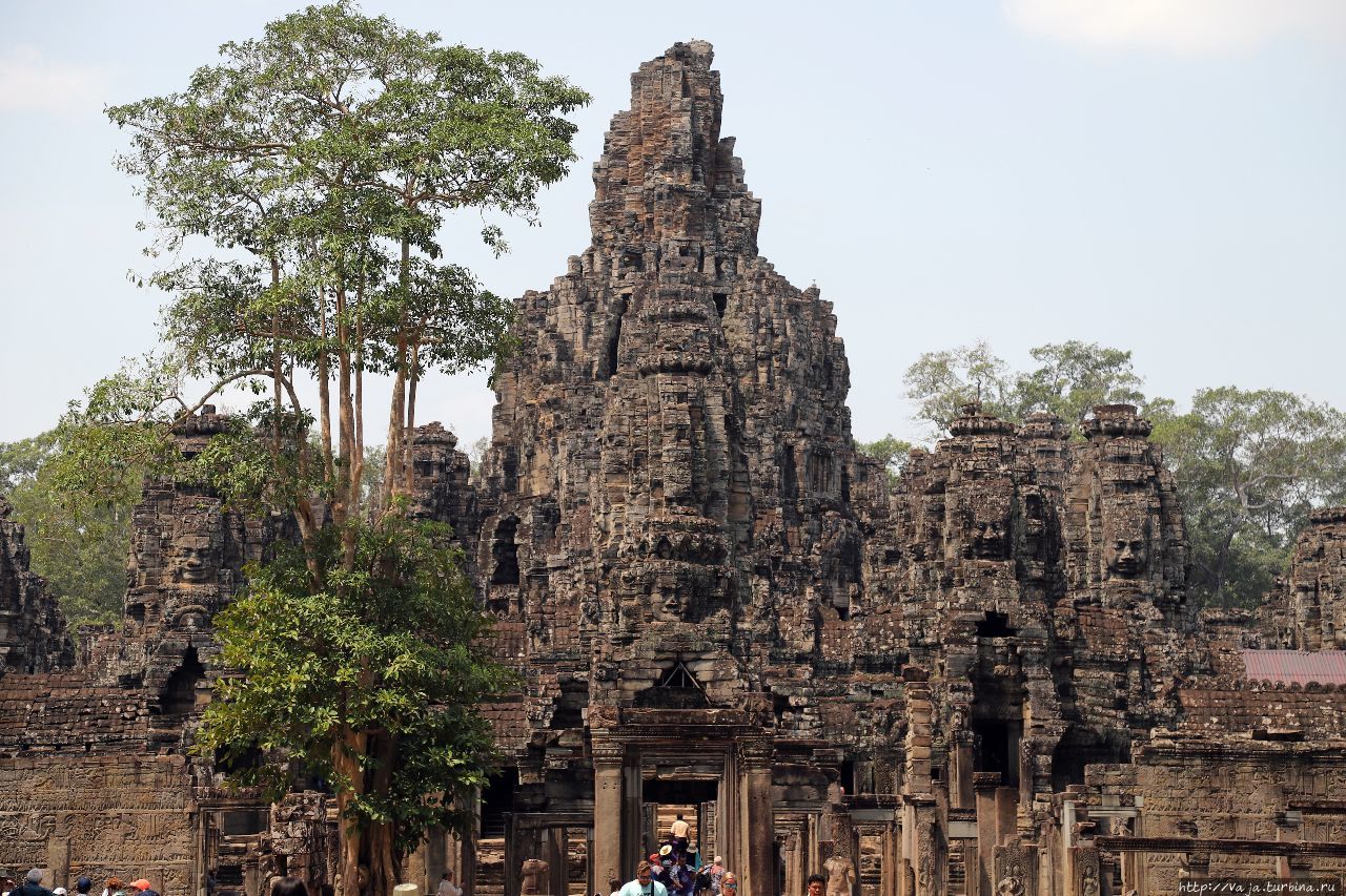 Природа и руины столицы империи Кхмеров Ангкор (столица государства кхмеров), Камбоджа