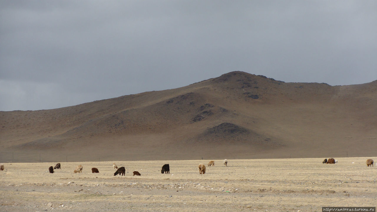 Монгольские просторы Монголия
