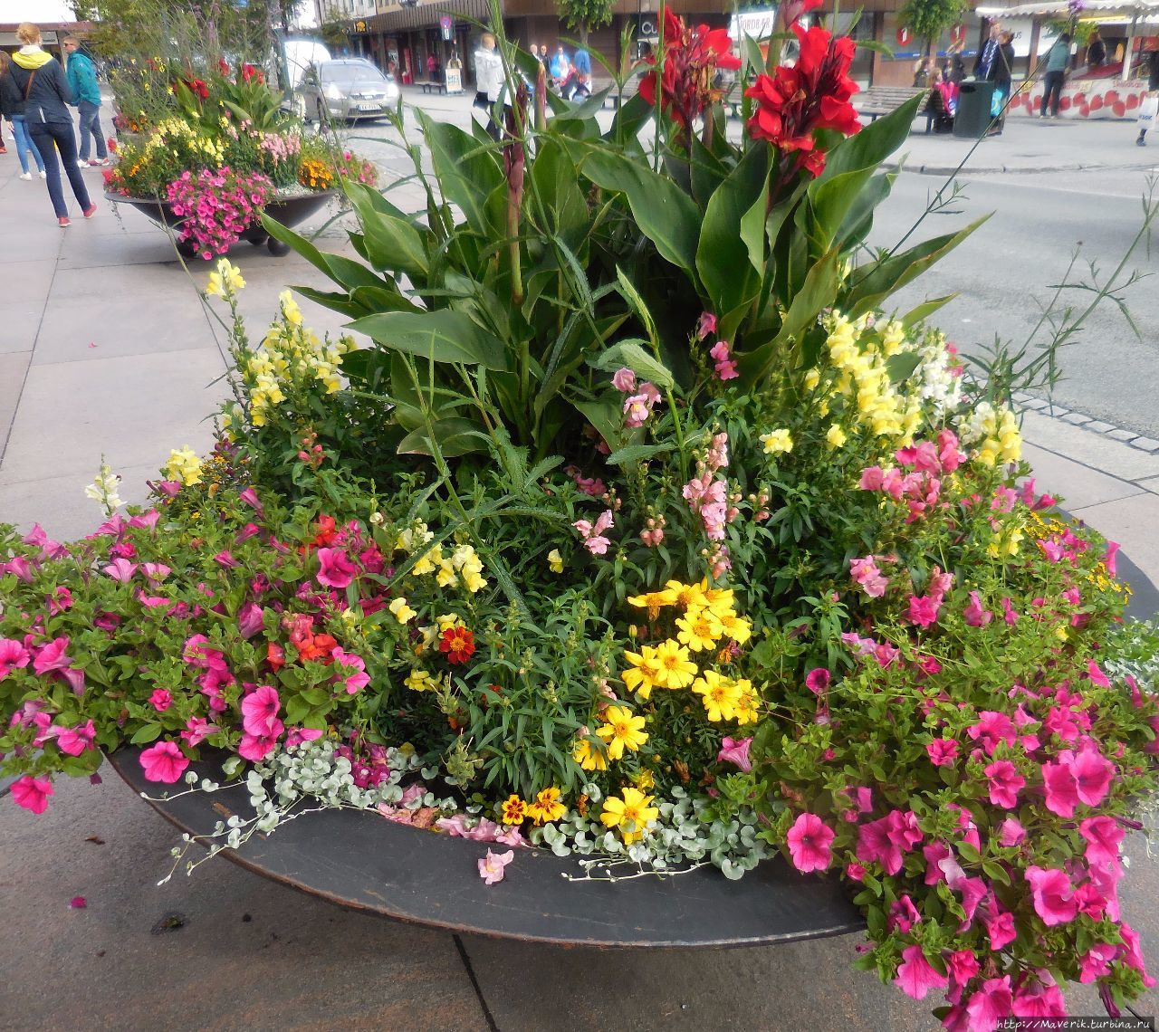 Молде — знакомство с 