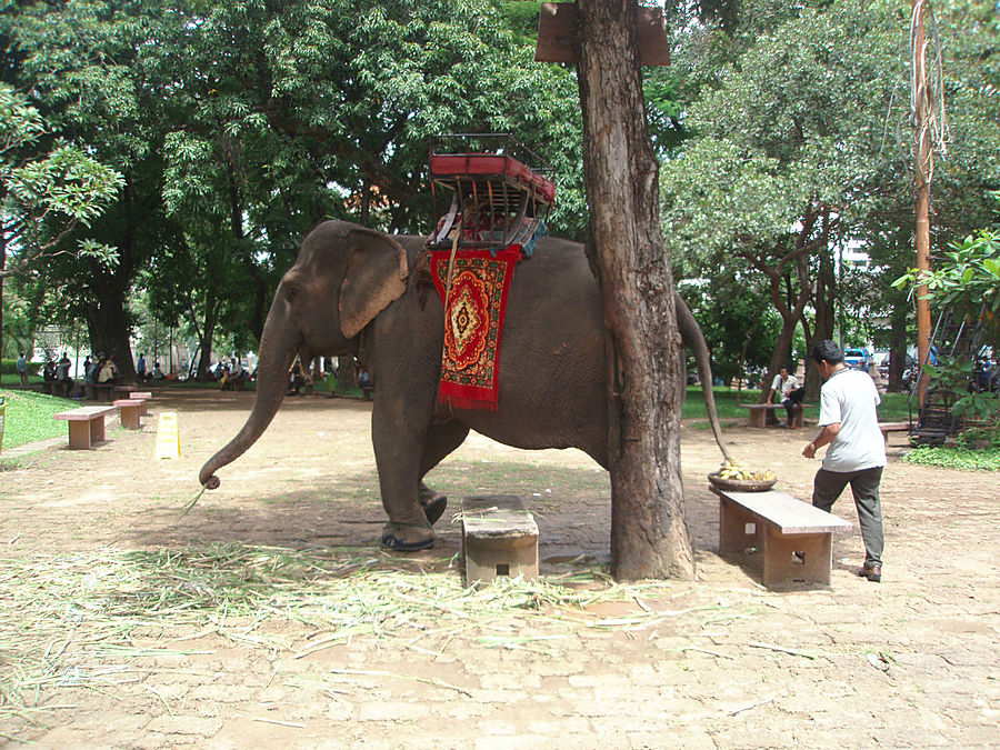 Пномпень. Ват Пном