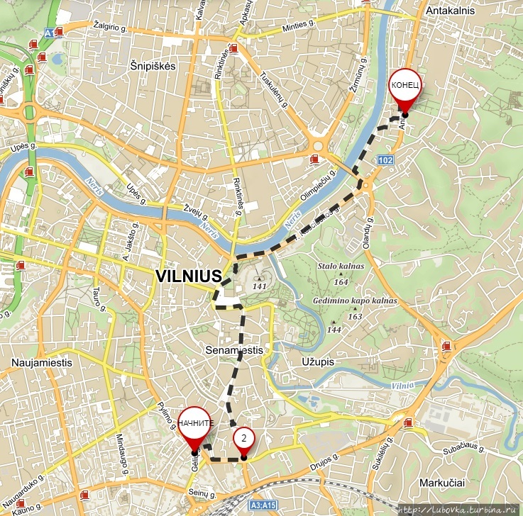 Старейшая Липа столицы Литвы Вильнюс, Литва