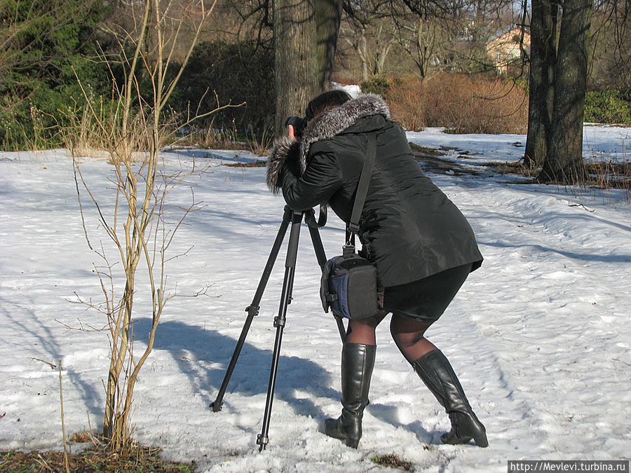 Весна пришла в ботанический Рига, Латвия