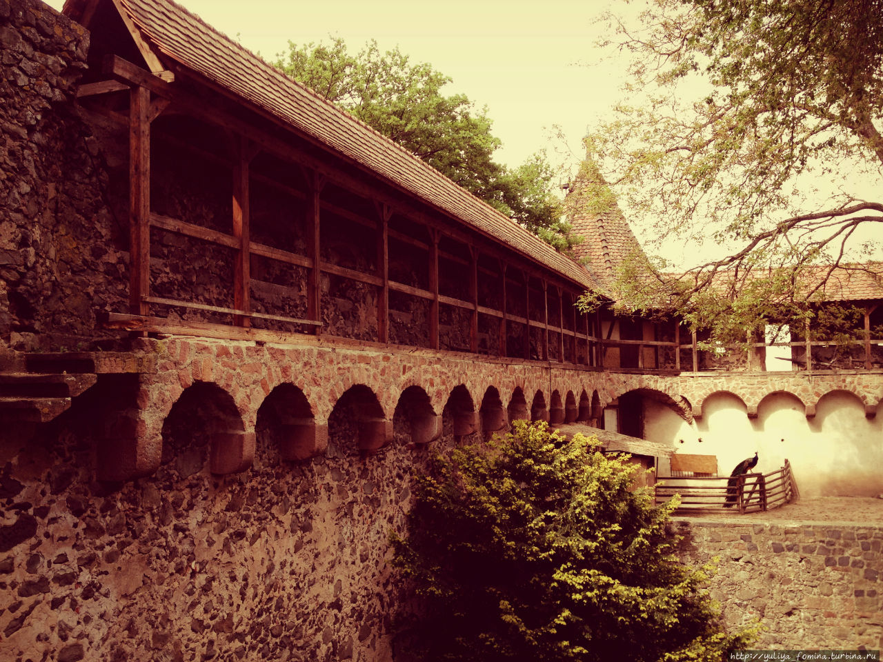 Средневековый Роннебург Роннебург, Германия