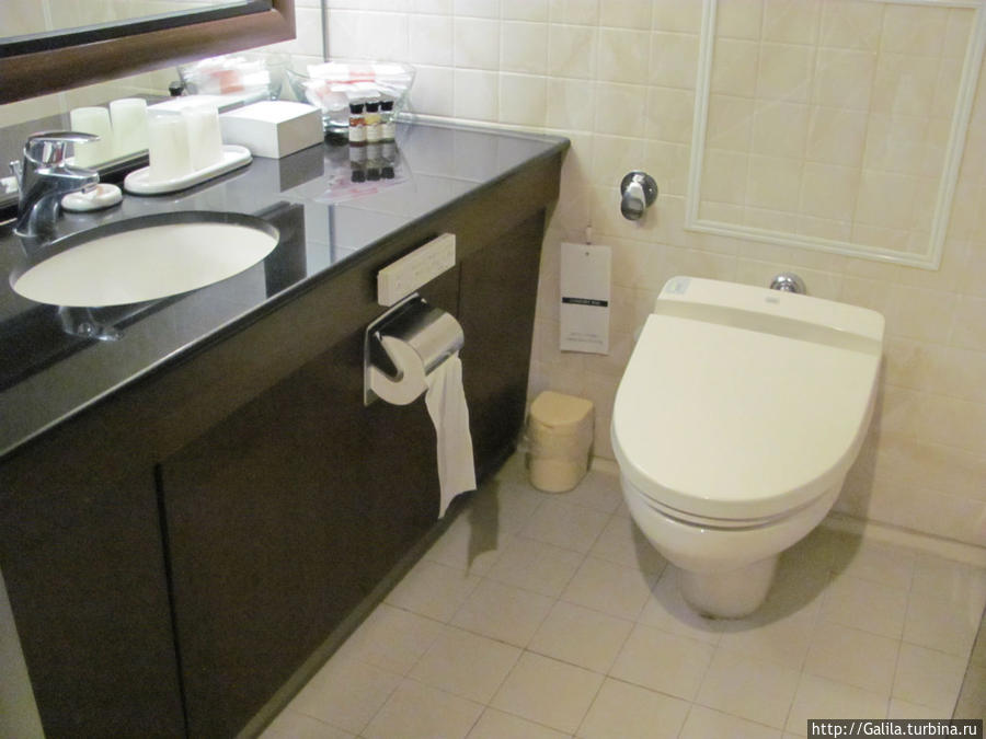 Это в Токио,кнопки управления сбоку над туалетной бумагой. Япония