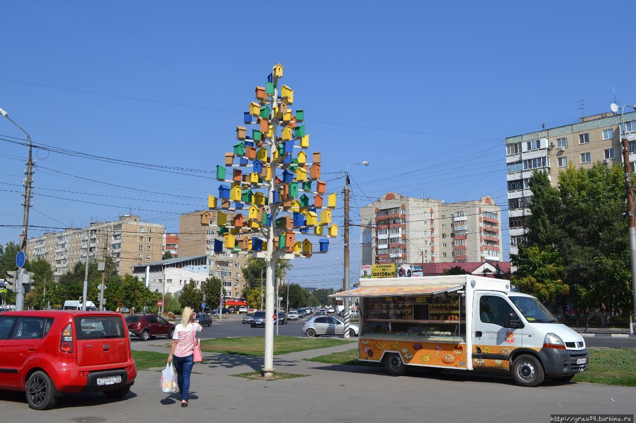 Дерево скворечников Энгельс, Россия