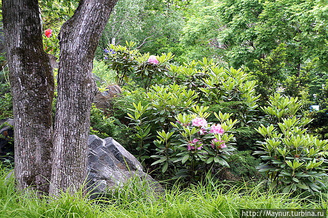 День музея Южно-Сахалинск, Россия