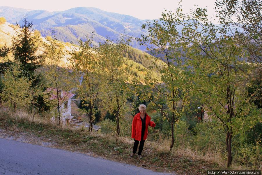 Зорница (Смолянская область) Чепеларе, Болгария